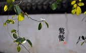 驚蟄